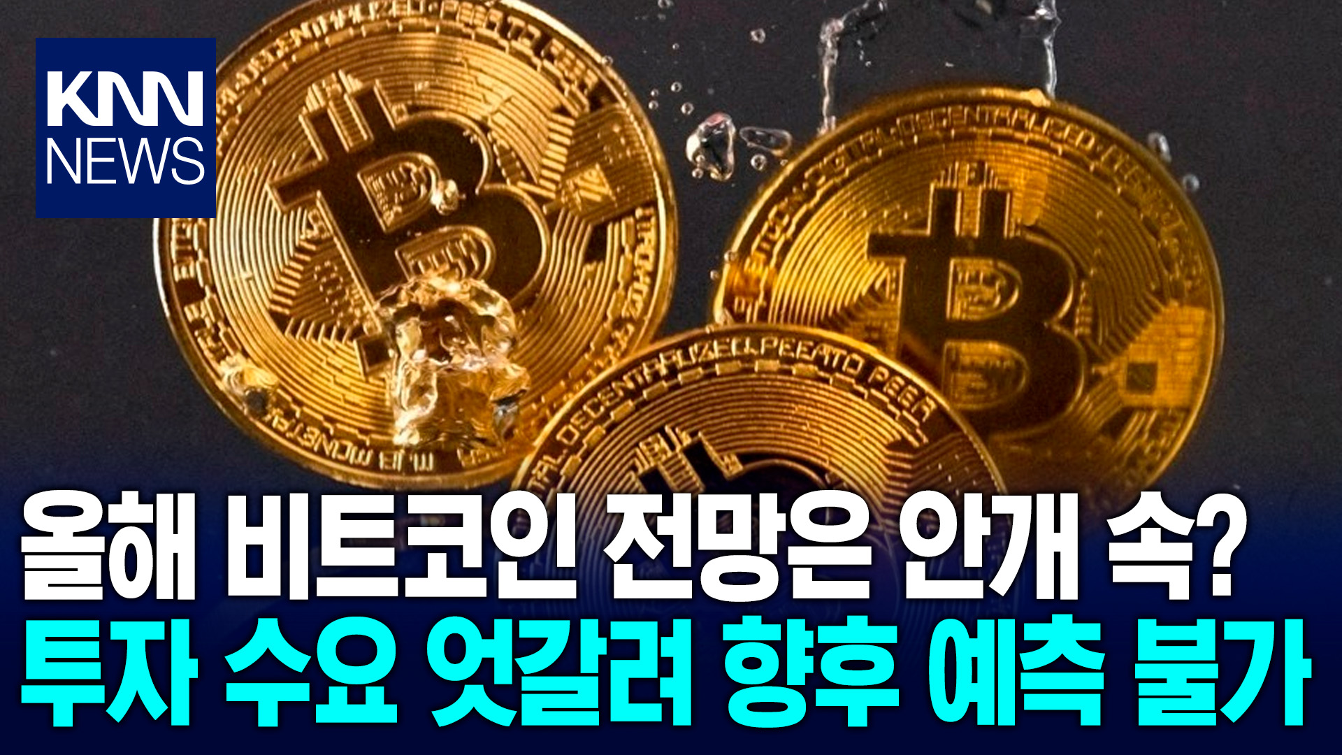 비트코인 예측 올해는 더 어렵다…＂기존 패턴 흐름 완전히 벗어나＂ / KNN | 네이트 TV